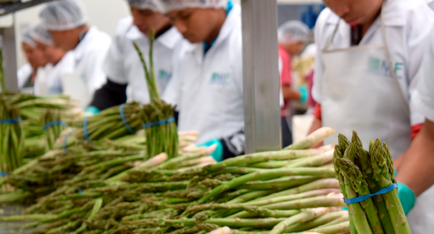 Empaque de productos Megafrescos
