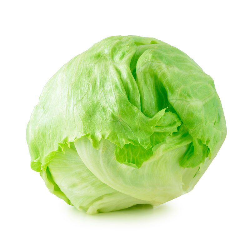 Lechuga fresca Megafrescos